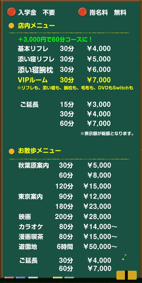 料金システムのご案内おすすめはVIPルーム｜秋葉原リフレみる 